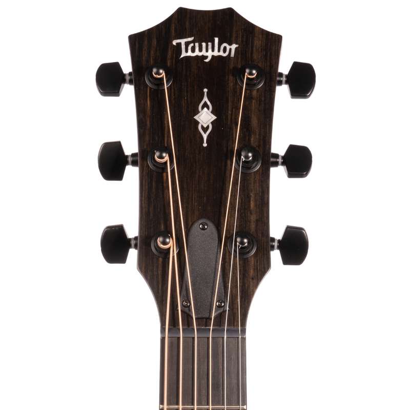 Taylor 324ce Grand Auditorium Acoustic Guitar, Hardwood Mahogany Top and Tasmanian Blackwood Back & Sides