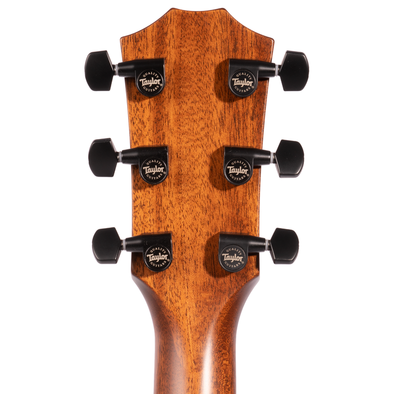 Taylor 324ce Grand Auditorium Acoustic Guitar, Hardwood Mahogany Top and Tasmanian Blackwood Back & Sides