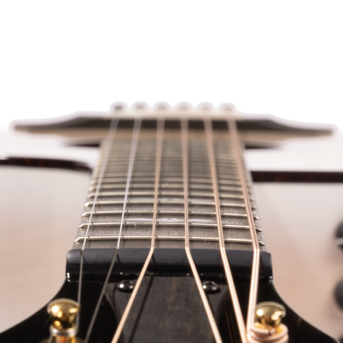 Taylor 50th Anniversary 614ce Grand Auditorium, Sitka Spruce/Figured Big Leaf Maple, Transparent White Edgeburst
