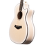 Taylor 50th Anniversary 614ce Grand Auditorium, Sitka Spruce/Figured Big Leaf Maple, Transparent White Edgeburst