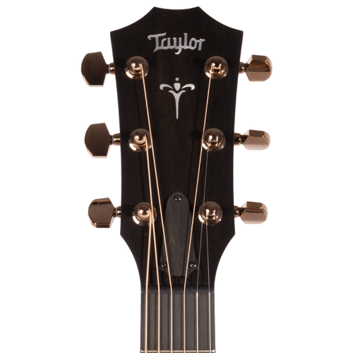 Taylor 722ce Grand Concert, All Koa Acoustic Guitar