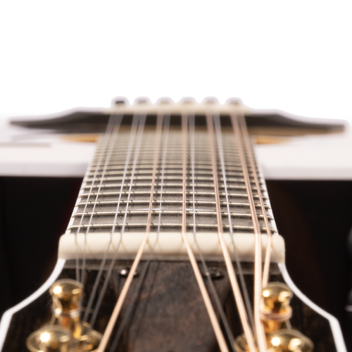 Taylor 50th Anniversary 858e LTD 12-String Grand Orchestra, Sitka Spruce/Indian Rosewood w/Case
