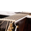 Taylor 50th Anniversary 858e LTD 12-String Grand Orchestra, Sitka Spruce/Indian Rosewood w/Case