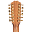Taylor 50th Anniversary 858e LTD 12-String Grand Orchestra, Sitka Spruce/Indian Rosewood w/Case