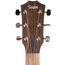 Taylor AD24CE American Dream Grand Auditorium Acoustic Guitar, Mahogany/Sapele