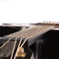 Taylor 50th Anniversary Builder's Edition 314ce Limited Grand Auditorium, Sitka Spruce/Urban Ash, Kona Burst