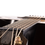 Taylor 50th Anniversary Builder's Edition 314ce Limited Grand Auditorium, Sitka Spruce/Urban Ash