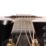 Taylor 50th Anniversary Builder's Edition 314ce Limited Grand Auditorium, Sitka Spruce/Urban Ash
