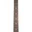 Taylor 50th Anniversary Builder's Edition 314ce Limited Grand Auditorium, Sitka Spruce/Urban Ash