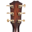 Taylor 324ce Builder's Edition Grand Auditorium Acoustic Guitar