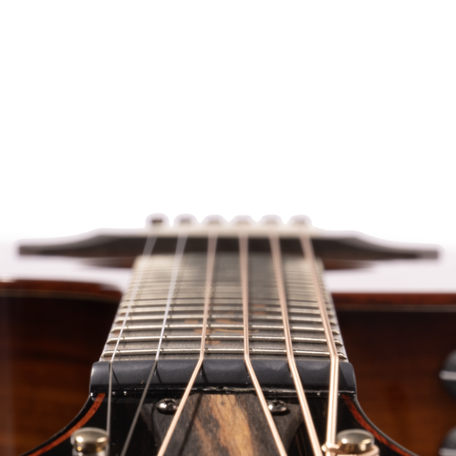 Taylor Custom Grand Auditorium NAMM Catch #2, Sinker Redwood/Honduran Rosewood