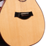 Taylor Custom Grand Auditorium C14ce Catch #14, Bearclaw Sitka Spruce/East Indian Rosewood