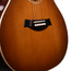Taylor Custom Grand Auditorium C14ce Catch