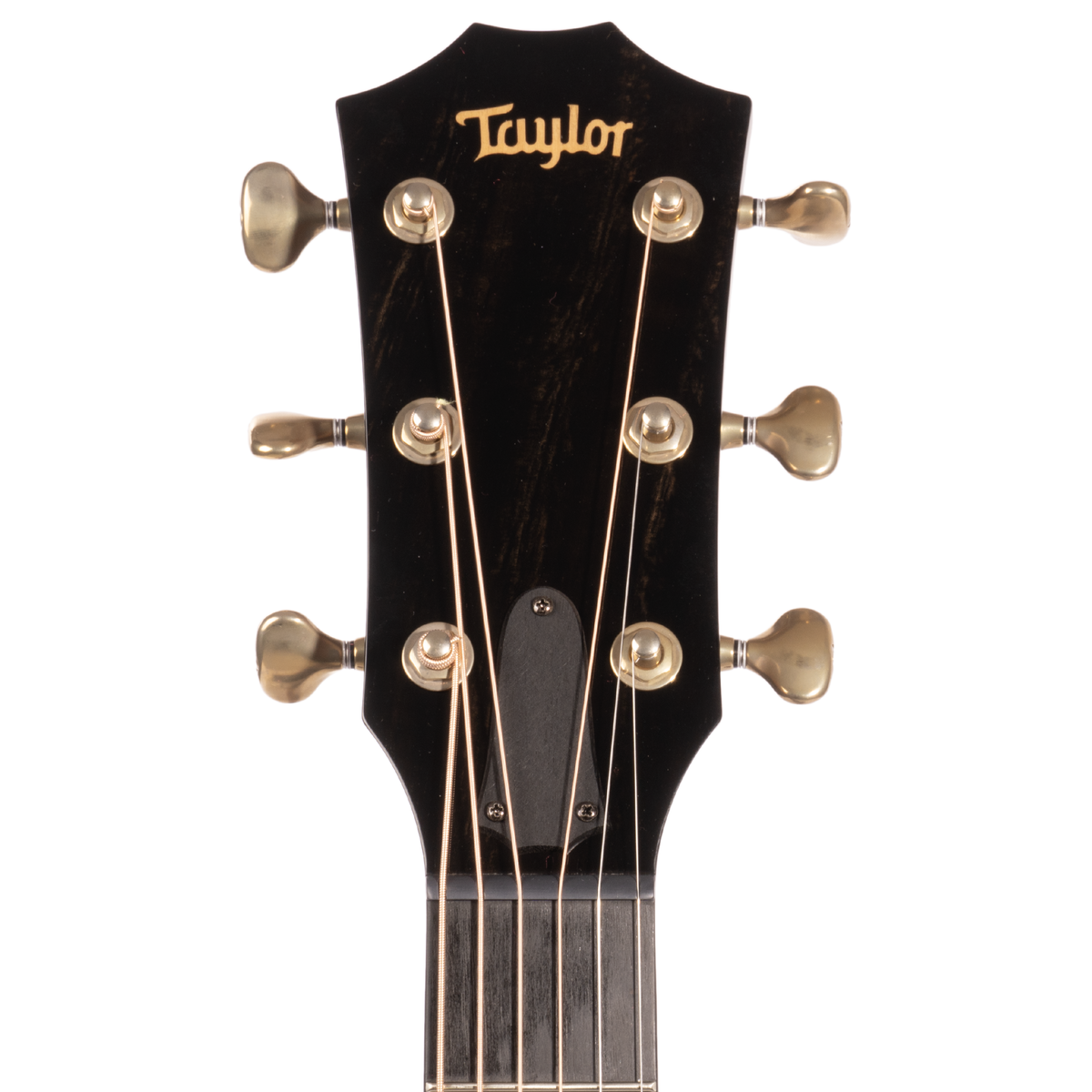2024 Taylor Custom Grand Auditorium C14ce Catch #43, Torrefied Sitka/East Indian Rosewood