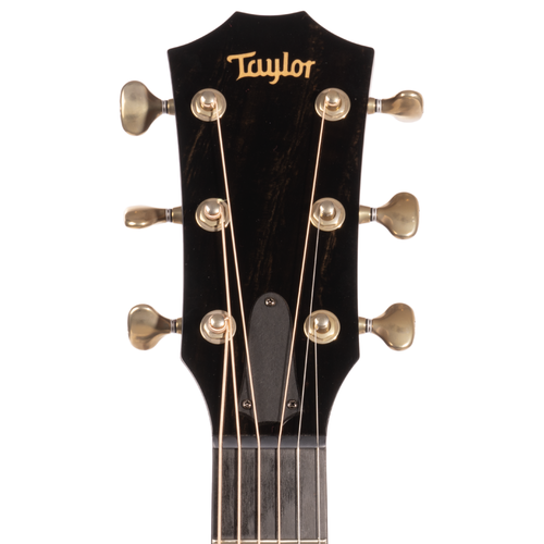 Taylor Custom Grand Auditorium C14ce Catch