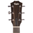 Taylor Limited Edition Custom 224ce-K DLX Grand Auditorium Acoustic-Electric Guitar, Koa