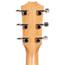 Taylor Limited Edition Custom 224ce-K DLX Grand Auditorium Acoustic-Electric Guitar, Koa