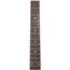 Taylor Legacy 514ce Grand Auditorium Acoustic-Electric Guitar, Western Red Cedar/Mahogany, Natural