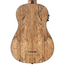 Kala Spalted Mango Acoustic-Electric Fretted U-BASS Ukulele