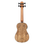 Kala Spalted Mango Acoustic-Electric Fretted U-BASS Ukulele