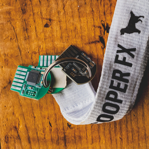 Cooper FX Arcades w/Grain, Lofi, and Pitch Effects Chips - Used