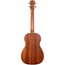 Kala Mahogany Series Baritone Ukulele w/ EQ