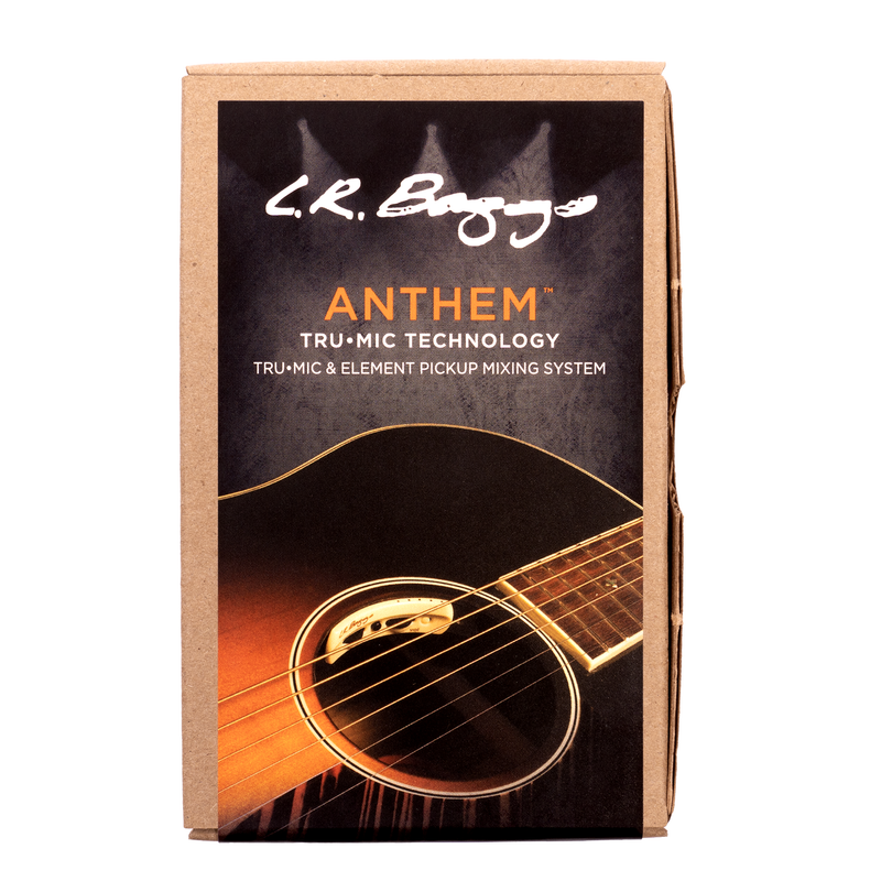 L.R. Baggs Anthem Acoustic Guitar Pickup and Microphone