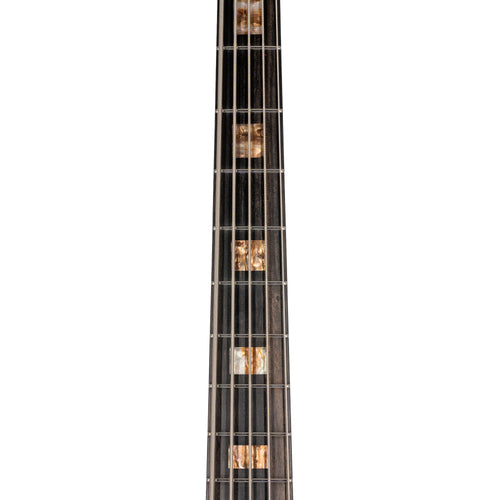 Music Man 35th Anniversary StingRay 5H 5-String Bass Guitar, Ebony, Spalted Sunburst With Mono Bag