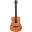 Taylor Baby Taylor Sapele/Mahogany Acoustic Guitar, Natural