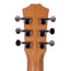 Taylor Baby Taylor Sapele/Mahogany Acoustic Guitar, Natural