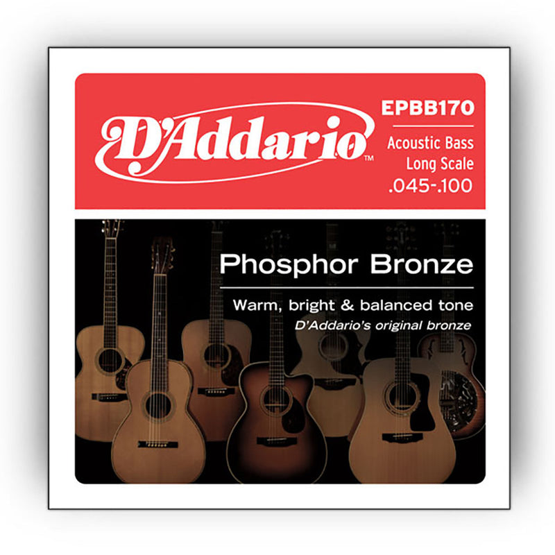 D'Addario 45-100 Bass Acoustic Set