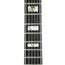 Guild Blues Bird - 1986 Walnut Stain - Consignment