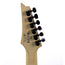 Ibanez RG421 - Blackberry Burst - Used