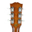 Gibson Country Western Limited Edition - Used