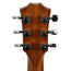 Taylor GS Mini Mahogany - Used