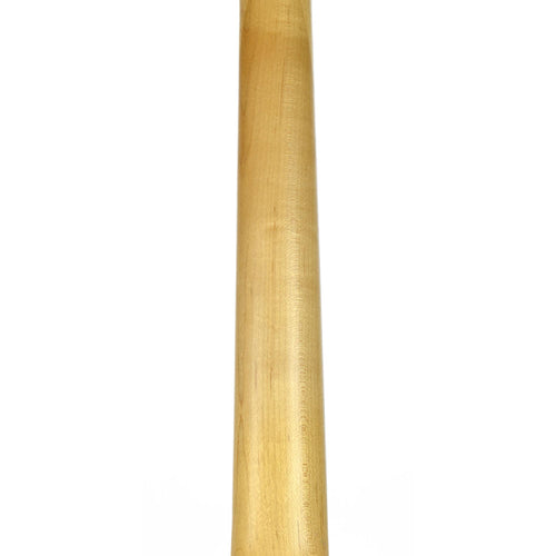 National Resolectric With SKB Hard Case - Used