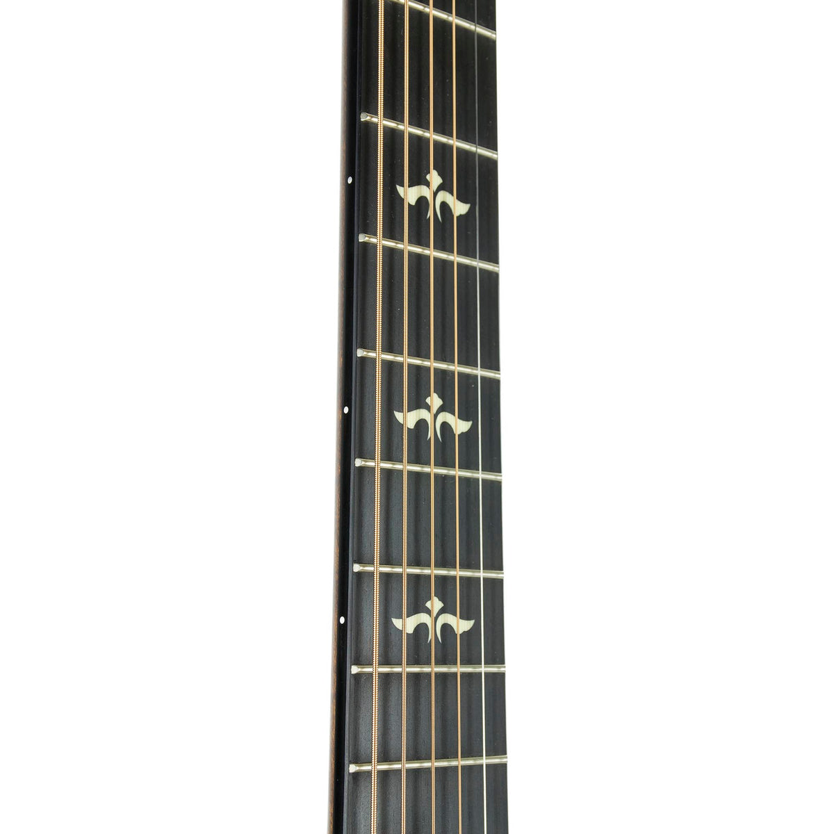 Taylor 618e Grand Orchestra - Used