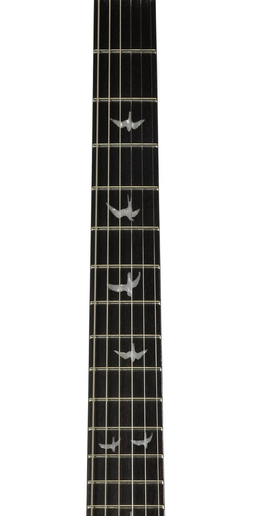 PRS 30th Anniversary SE Custom 24 Floyd With Mods - Used