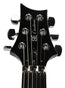 PRS 30th Anniversary SE Custom 24 Floyd With Mods - Used