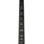 PRS SE Custom 24 -Trampas Green - Used