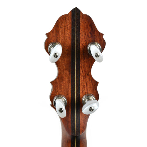 Wildwood Exotic Wood Series Banjo - With OHSC - Used