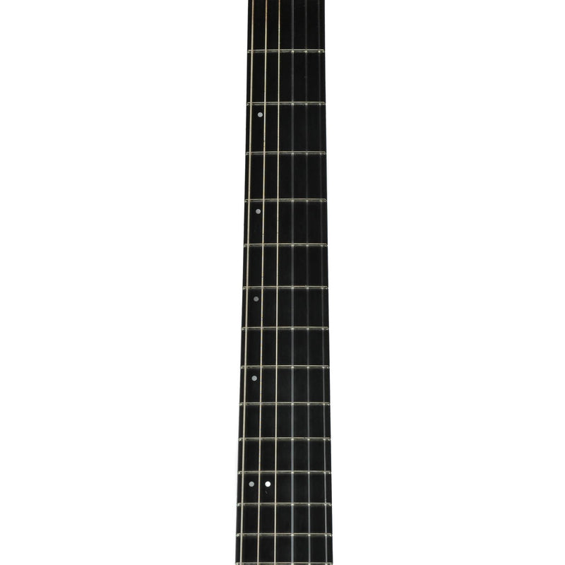 Godin Multiac ACS SA With Gig Bag - Used