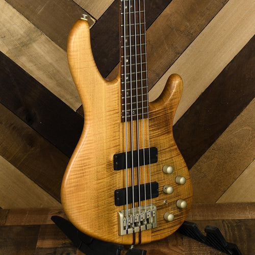 Cort A5 5-String Bass - Used