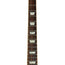 Gibson Custom Les Paul Pro - Iguana Burst - Used