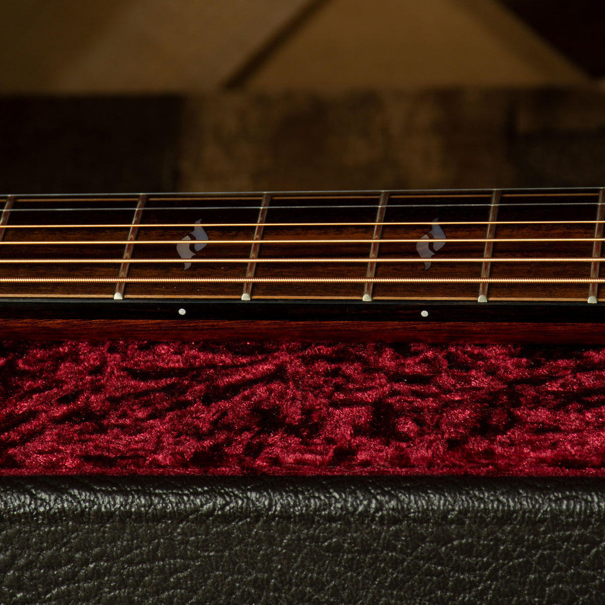 Taylor 2019 814ce Grand Auditorium With OHC - Used