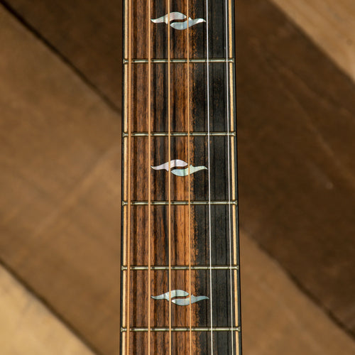 Taylor 2019 814ce Grand Auditorium With OHC - Used