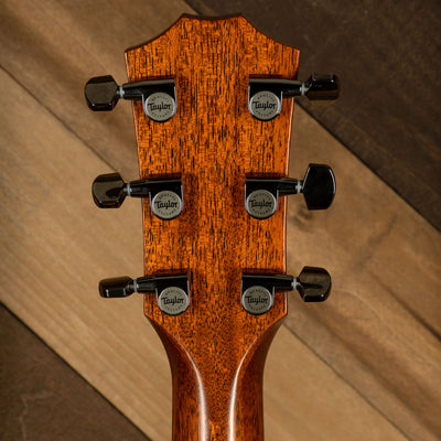 Taylor 2019 814ce Grand Auditorium With OHC - Used