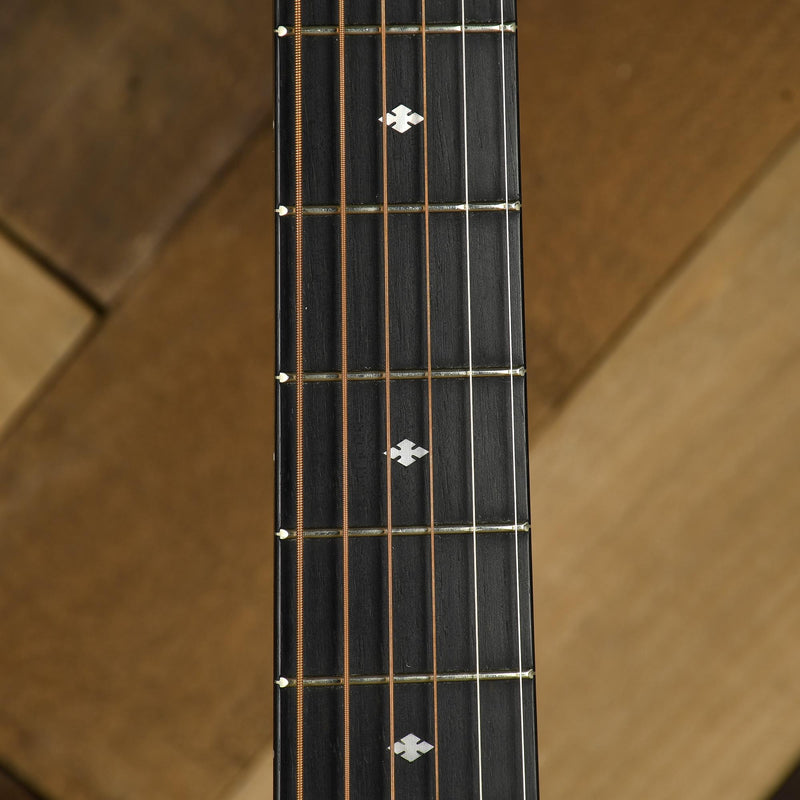 Taylor 214E DLX Grand Auditorium With OHSC - Used
