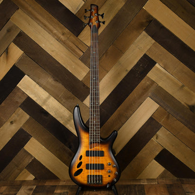 Ibanez SR30TH5 5-String Semi-Hollow SR Series Bass - Used