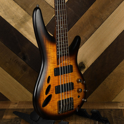 Ibanez SR30TH5 5-String Semi-Hollow SR Series Bass - Used
